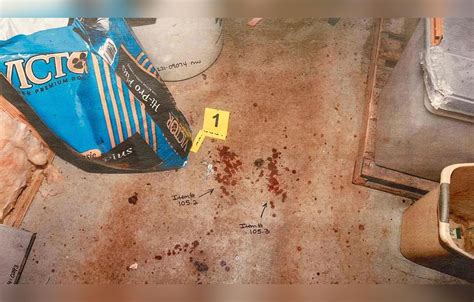 leaked murdaugh crime scene photos|Murdaugh Murders: Crime Scene Photos Shown in Court